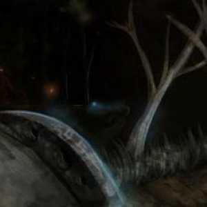 Računalna igra `Dark Souls 2. Hunter`s Grove`: opis i prolazak lokacije
