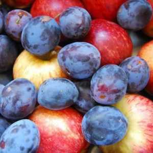 Komlog šljiva i jabuka za zimu: jednostavni recepti