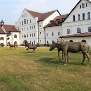 Konj park `Rus `- mjesto oživljavanja tradicije ruskog uzgoja konja i zabave za cijelu…