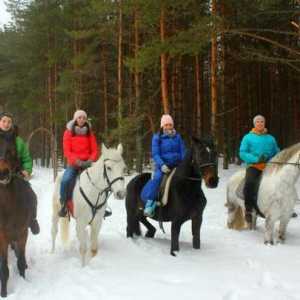 Konjički turizam: organizacija i razvoj u Rusiji