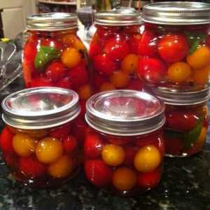 Očuvanje rajčice - male čaše
