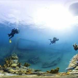 Koraljni greben. Velika koraljna grebena. Podvodni svijet koraljnih grebena