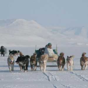 Коренные народы Арктики. Какой народ является коренным народом Арктики?