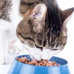 Hrana za mačke `Perfect Fit` (Perfect Fit): sastav, recenzije