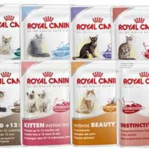Hrana za mačke `Royal Kanin`: sastav i recenzije