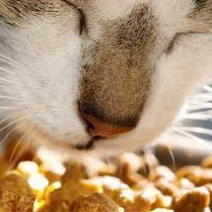 Feed `Happy Cat `(za mačke): opis, vrsta, recenzije vlasnika životinja