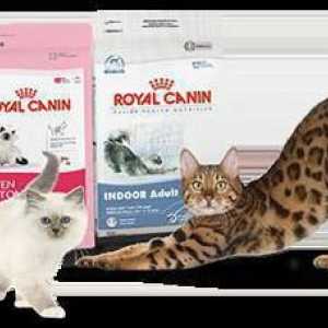 Hrana za mačke, mačke i mačiće: pregled, vrsta, proizvođači i recenzije