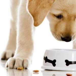 Feed `Origen` za pse - pravilnu prehranu svaki dan