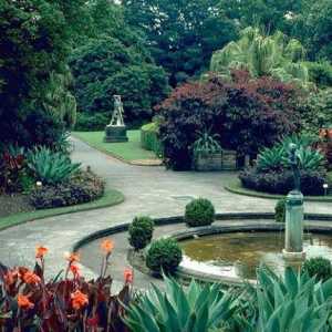 Kraljevski botanički vrt (Sydney) je prirodna oaza placiranja