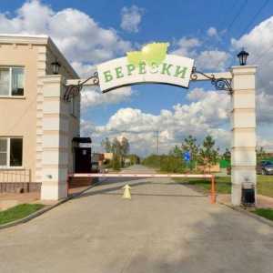 Vikendice `Berezki` (Novosibirsk): opis stambenog fonda, obilježja infrastrukture,…