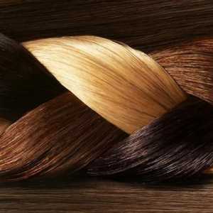 Boja za kosu `Garnier Color Senseishen`: paleta cvijeća, recenzija, fotografija