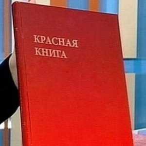 Crvena knjiga regije Vologda: rijetke životinje i biljke