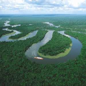Крупнейшие реки Южной Америки