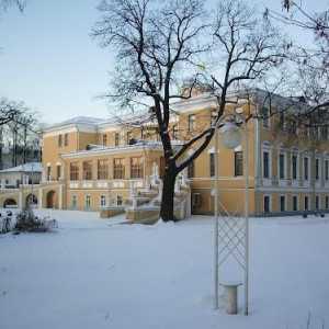 Najveći muzej Yaroslavla - Muzej umjetnosti