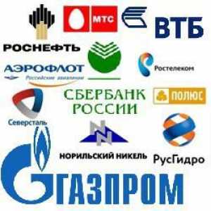 Velika poduzeća u Rusiji. Industrijska poduzeća u Rusiji