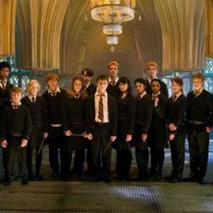 Tko je igrao manje znakove u filmu `Harry Potter i Red Phoenixa`? Glumci su ostali u sjeni
