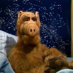 Tko je Alf? Glumac se skriva iza lutke. "Alf": glumci i uloge