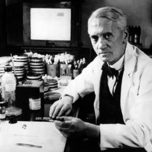 Tko je otkrio penicilin? Povijest otkrića penicilina