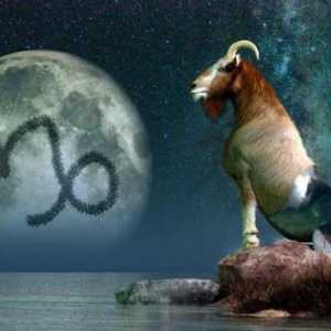 Tko je rođen 20. siječnja: znak Zodiac Aquarius ili Jarac?