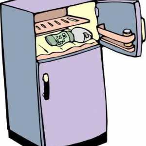 Gdje staviti stari hladnjak: moguće opcije