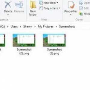 Gdje se snimke zaslona spremaju u `Windows 8 `ili Sve o snimkama zaslona u operacijskom…