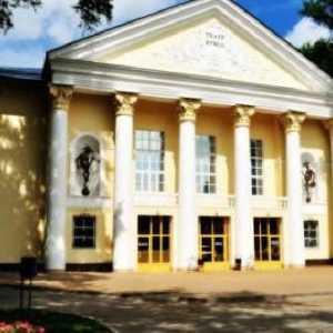 Kazalište lutaka (Lipetsk): povijest, repertoar, trupa