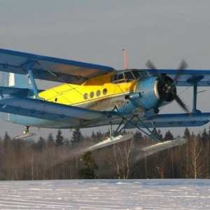 `Corncrawler` (An-2 avion): motor, brzina i fotografija