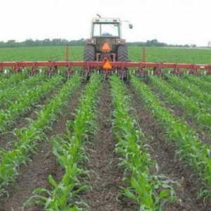 Uzgoj je glavni način uzgoja tla u poljoprivredi
