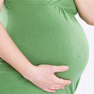 Kiseli kupus u trudnoći: što savjetuje liječnik?