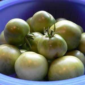Kiselo zelene rajčice napunjene: receptom