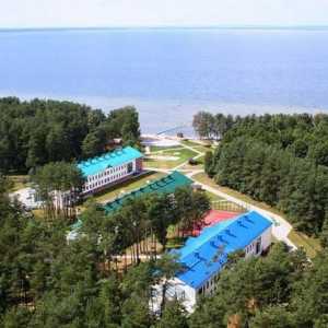 Kamp Zubrenok u Bjelorusiji: recenzije
