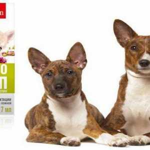 `Lakto-Stop` za pse: indikacije, upute za uporabu, recenzije