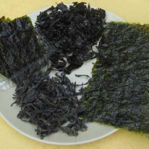 Sušena morska trava: primjena i recenzije. Osušena morska trava - morska trava