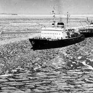 Icebreaker `Moskva` 1960: fotografija, analozi