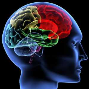 Leukooza mozga: simptomi, uzroci, liječenje