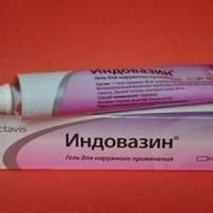 Lijekovi "Indovozin" (gel). instrukcija