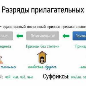 Leksičke i gramatičke kategorije pridjeva. Ruski jezik