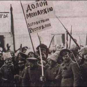 Čelnici socijalističkih revolucionara, programi, taktike borbe. Tko je bio vođa Socijalističke…