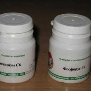 `Lycopodium` (homeopatija): indikacije za uporabu, recenzije