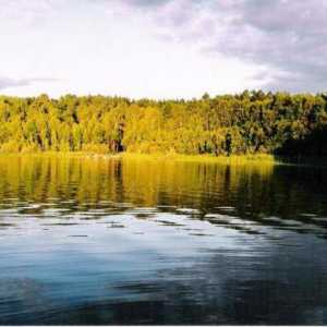 Line-Lake (Omsk regija), gdje se možete opustiti dobro