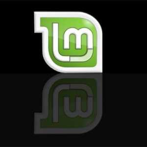 Linux Mint kako instalirati: korak-po-korak upute, značajke i recenzije