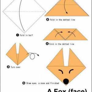 Fox-origami: majstorska klasa na skupštini