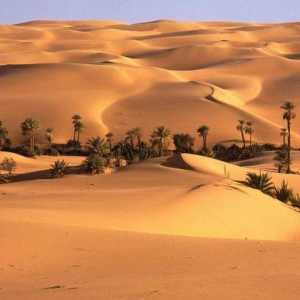 Libijska pustinja: opis, značajke, fotografija