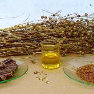 Laneno ulje. Korisna svojstva i kontraindikacije biljnog proizvoda