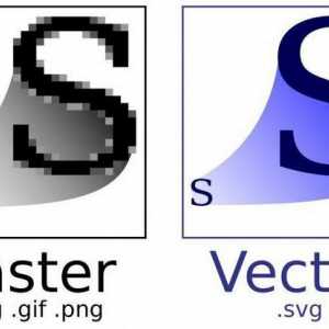 Najbolji vektorski grafički program. 3D vektorske grafike