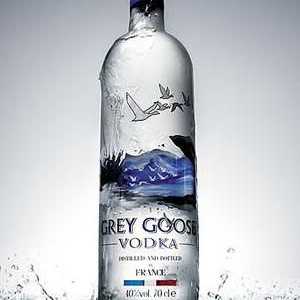 Najbolji na svijetu vodka `Grey Goose`
