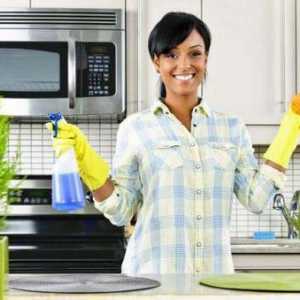 Najbolji proizvodi za čišćenje kuhinje: pregled, primjena, proizvođači i recenzije
