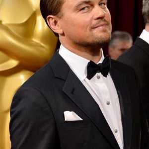 Najbolji filmovi s Leonardo DiCaprioom: popis. DiCaprio filmovi: Opis, recenzije, prizori i…