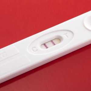 Najbolji rani testovi trudnoće: naslovi