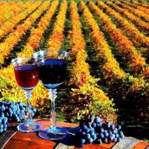 Najbolja vina Krasnodarske regije: pregled, ocjena, sastav, vrste i recenzije